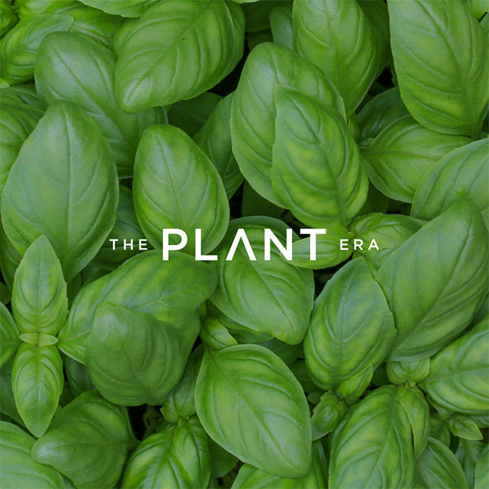 The Case for Plant-Based Diets: Sustainability